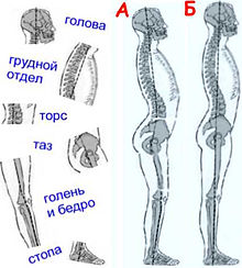 Cum piciorul afectează toți mușchii și coloana vertebrală