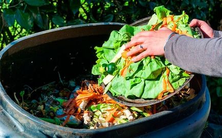 Cum de a reduce resturile alimentare, întotdeauna în formă!