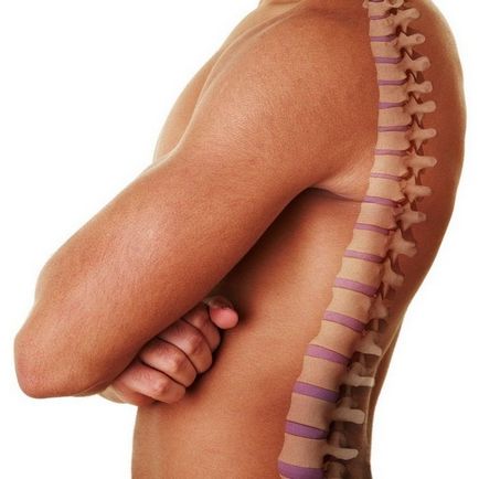Cum este aranjat coloana vertebrală! Fiți sănătoși