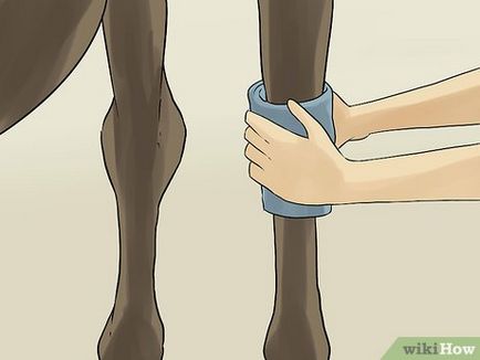 Hogyan lehet gyógyítani sántaság lovak