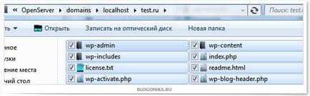 Cum am creat un blog local de testare pe openserver, un blog