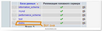 Cum am creat un blog local de testare pe openserver, un blog