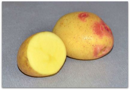 Cartofi lemonka - o descriere a soiului cu o fotografie, caracterizare, plantare și îngrijire (cartofi) Cartofi de lămâie - descrierea gradului cu fotografii, caracteristici, plantare și îngrijire
