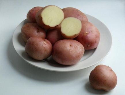 Картопля - Рамона опис сорту, характеристики, фото, поради по догляду