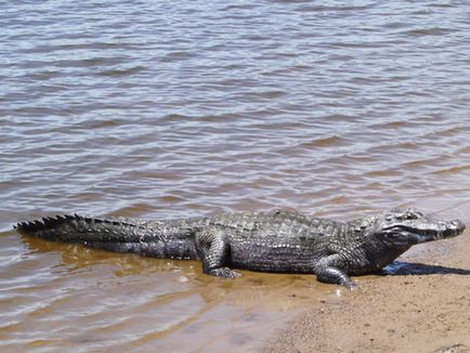 Cayman, fotók