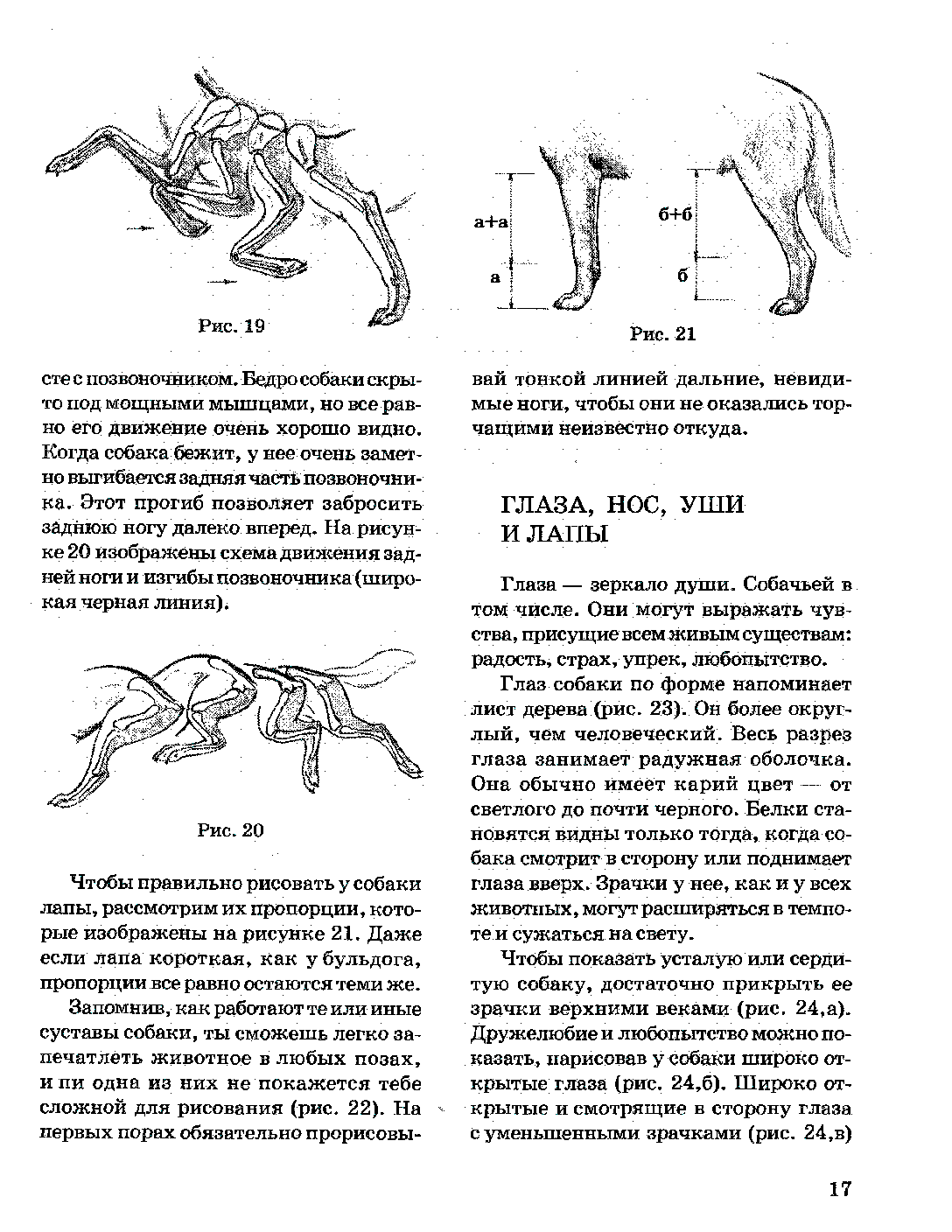 Cum de a desena un câine