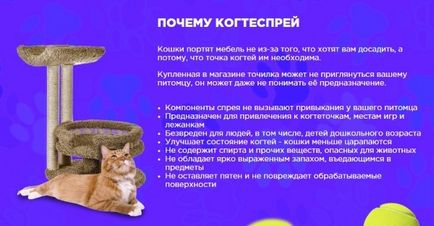 Kogtesprey - egyedülálló spray macskák, Ár, Review, Review (egyedi) Kogtesprey - egyedülálló spray macskák, Ár, Review, felülvizsgálata