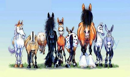 Коні різні важливі, коні різні потрібні, перший кінний журнал online