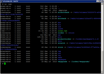 Pe scurt despre sistemul de fișiere și procesul de boot esxi-i, v-pentru virtualizare