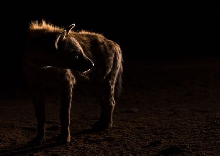 Etiopia frumoasă și colorată, știri de fotografie