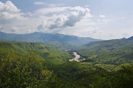 Красива і різнобарвна ефіопія, фото новини