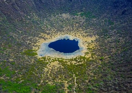 Красива і різнобарвна ефіопія, фото новини