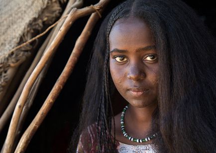 Красива і різнобарвна ефіопія, фото новини
