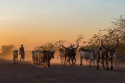 Etiopia frumoasă și colorată, știri de fotografie