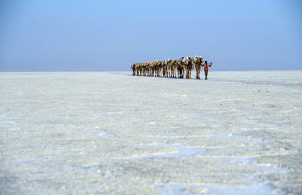 Etiopia frumoasă și colorată, știri de fotografie