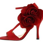 Pantofi roșii pentru fotografii de nunta a modelelor exclusive