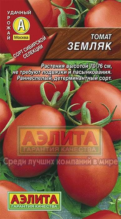 Cumpără răsadurile de roșii - tomate
