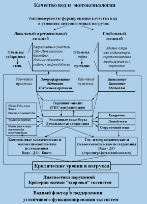 Laboratorul de calitate a apei, stabilitatea ecosistemelor acvatice și ecotoxicologia Tyumen