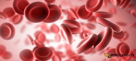 Tratamentul anemiei cu remedii folclorice (anemie)