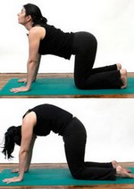 Kezelése gerinc jóga egyszerű gyakorlatok a hátsó, egy kicsit közelebb a nap