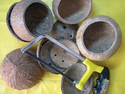 Maracas din nucă de cocos