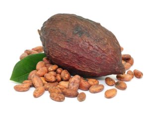 Unt de cacao pentru aplicarea părului, mască de păr cu unt de cacao