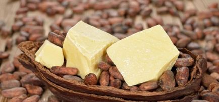 Масло какао корисні властивості і області застосування цінного продукту