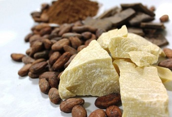 Масло какао корисні властивості і області застосування цінного продукту