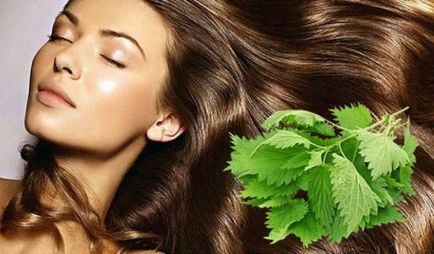 Revărsări de ulei din păr de urzică ale remediei urzică pentru îndepărtarea părului de la cosmeticele fito și ale acestuia