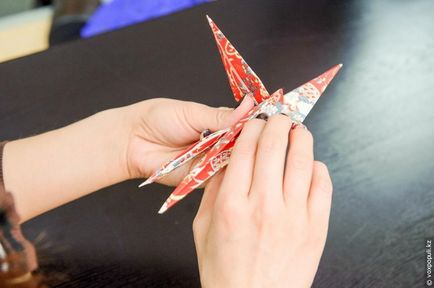 Maestru pe origami