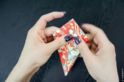 Maestru pe origami