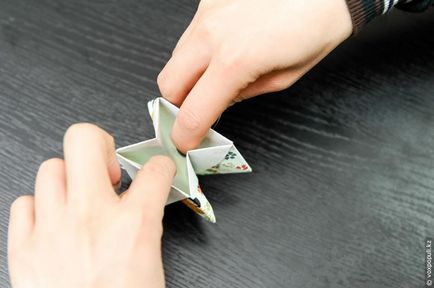 Maestru pe origami