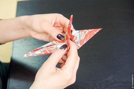 Maestru pe origami