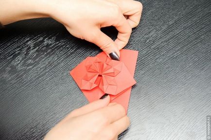 Maestru pe origami