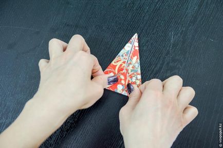 Maestru pe origami