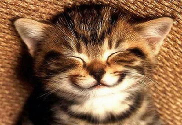 Meditáció - Inner Smile - a stressz, hogy a boldogság! (Smile) Meditáció - Inner Smile - a stressz, hogy a boldogság!