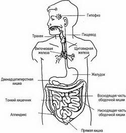 Meditația este un zâmbet interior - de la stres la fericire!