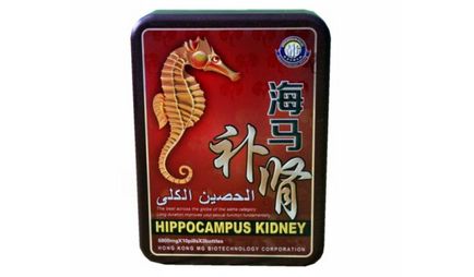 Морський коник (hippocampus kidney)