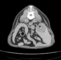 Tomografia computerizată multispirală este centrul medicinei de familie 