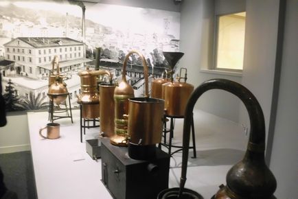 Muzeul expoziției fragonard, adresa, telefoanele, programul de lucru, site-ul muzeului