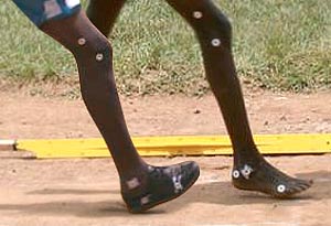 Pe călcâi sau pe ciorap, răspunsul de la harvard este pe șosete