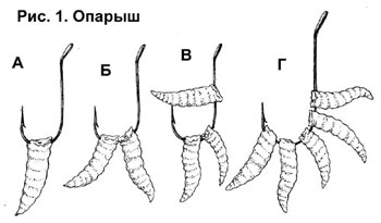 Plantarea de animale și momeli de plante