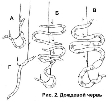 Plantarea de animale și momeli de plante