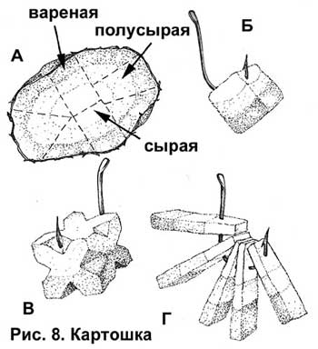 Plantarea de animale și momeli de plante