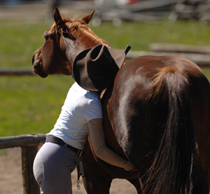 Natural horsemanship (нх), м'яке виховання коней