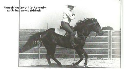 Natural horsemanship (нх), м'яке виховання коней