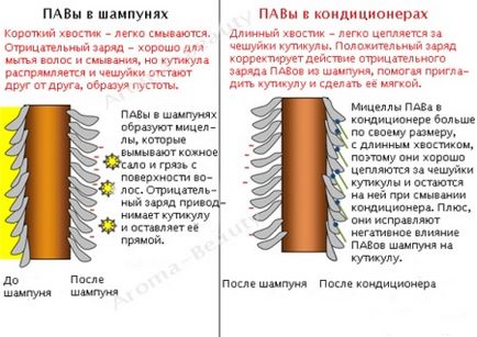 Натуральні шампуні кращі органічні компоненти і хороші трави для волосся, відгуки