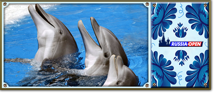 Știința terapiei cu delfinii
