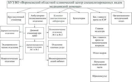 Cu privire la înființarea Centrului Clinic Regional Voronej de specialități de medicină