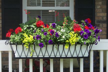 Dotăm grădina pe balcon cu 10 idei